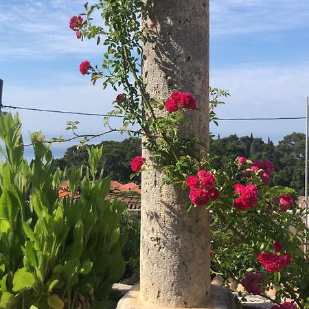 Villa Anica Dubrovnik - Luxurious With A Sea View Zewnętrze zdjęcie